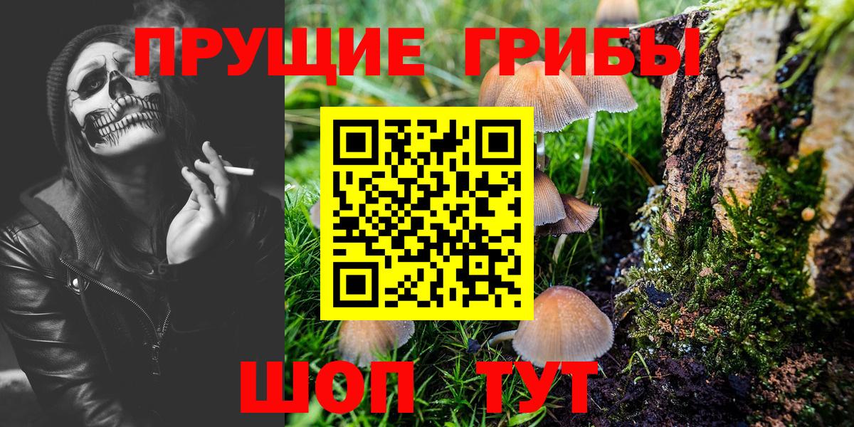 Михайловск  Псилоцибиновые грибы Psilocybe  Псилоцибиновые грибы MAGIC MUSHROOMS  Вход с VPN 
