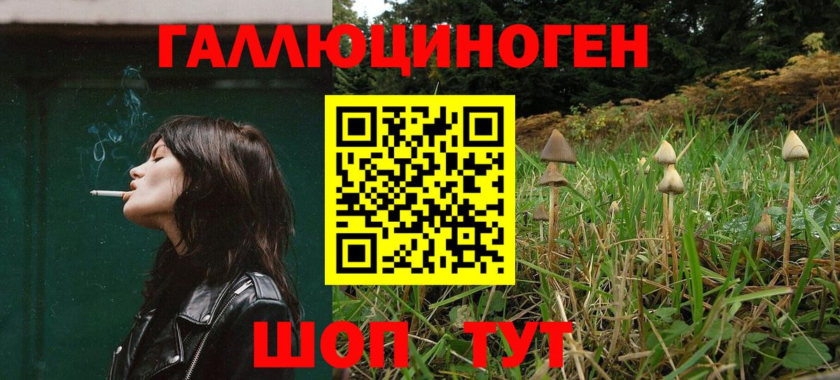 Псилоцибиновые грибы Magic Shrooms Михайловск